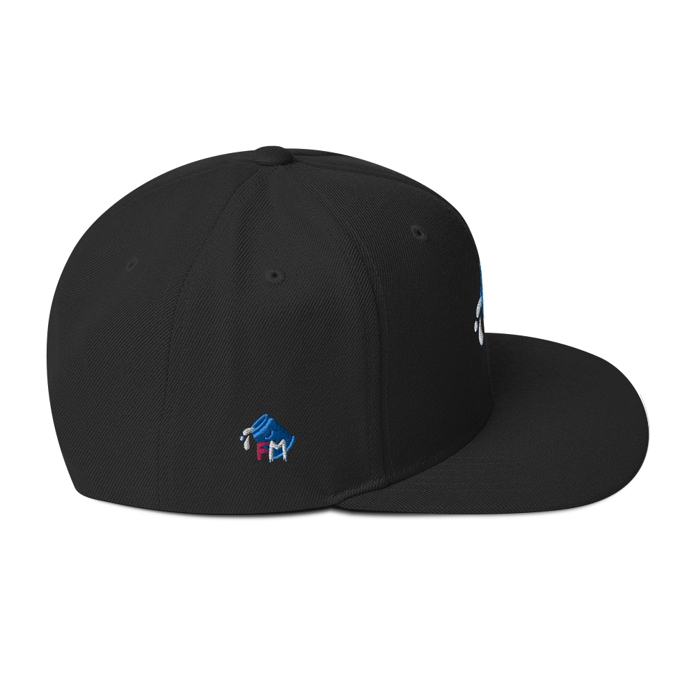 FM - Stealth Snapback