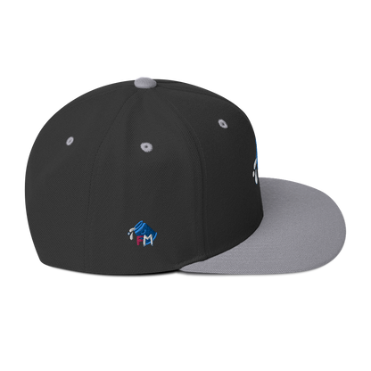 FM - Stealth Snapback